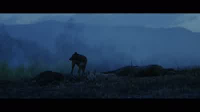 Go ahead! - The Thin Red Line