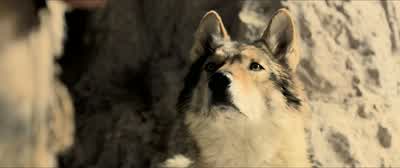 Pest. Go ahead! Stop looking at me! Go ahead! - Alpha