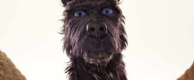 Go ahead, say it.
I'm a stray, yeah. - Isle of Dogs