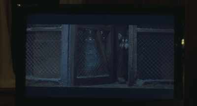 Go ahead.
What are you waiting for? - The Lodge