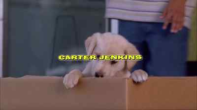 GO AHEAD,
YOU CAN PICK ONE OUT. - Life Is Ruff