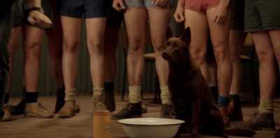 - Go!
- Alright, ready. We ready? - Koko: A Red Dog Story