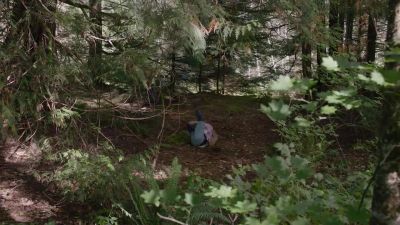 Go away! - Twin Peaks