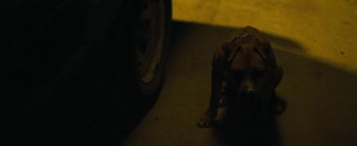 Go away. - Don't Breathe 2