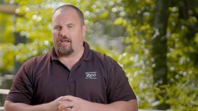 Go away." - Secrets of the Zoo
