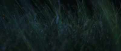 Go back or die... - Abducted