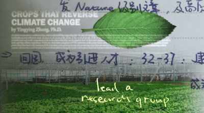 "Go back home,
build my own team, - Finding Yingying