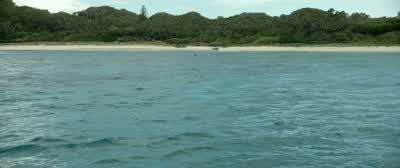 Go back! - The Shallows