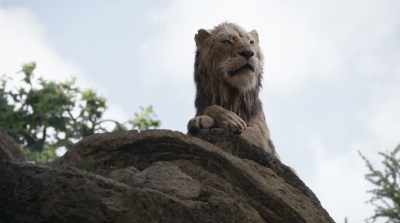 Go back to your den, Simba.
I don't babysit. - The Lion King