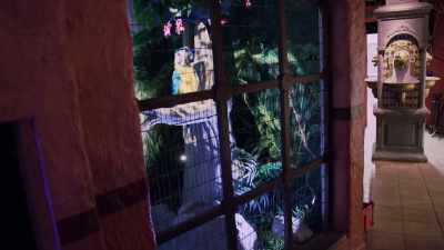 Go-- we can do the
thing: get a fortune, - ¡Casa Bonita Mi Amor!