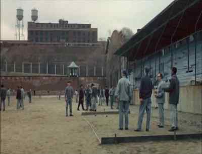 Go fetch your ball, Johnny. - The Valachi Papers