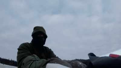 Go get 'em!
Line-up! Hyah! Go! - Life Below Zero: Next Generation