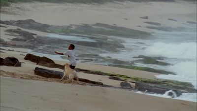 Go get it!
Go, Vincent! Go get it! - Lost