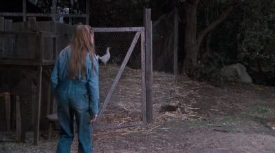 Go, get out of there! - The Waltons