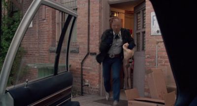 Go go go go go - Disorganized Crime
