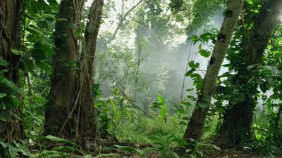 Go, go, go! - Journey 2: The Mysterious Island