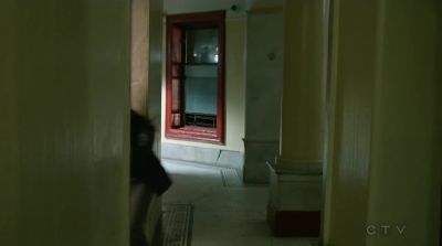 Go, go, go! - Blue Bloods