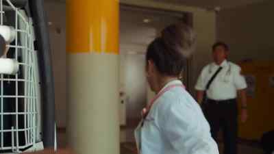 Go, go, go! - Doogie Kamealoha, M.D.
