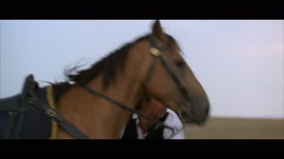 Go! Go home, Two Socks! Bad wolf! - Dances with Wolves