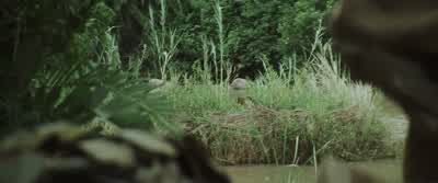 Go, go! - Blood Diamond