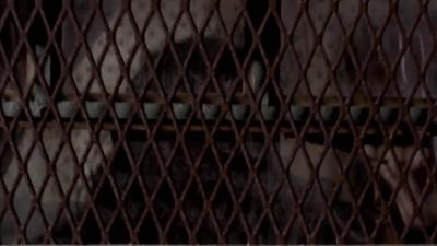Go, go! - Wrong Turn 2: Dead End