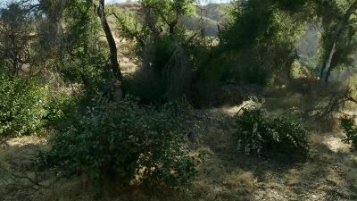 Go! Go! - NCIS: Los Angeles