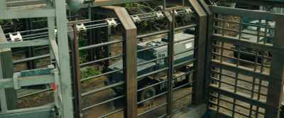 Go! Go, you've got
the green light! - Jurassic World: Fallen Kingdom