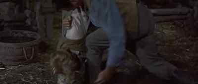 Go. Good evening, sir Rodock
. - Tribute to a Bad Man