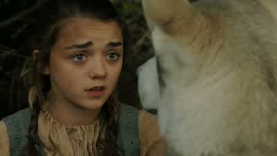 Go! Leave now! - It's a direwolf. - I'll check down here. - Game of Thrones