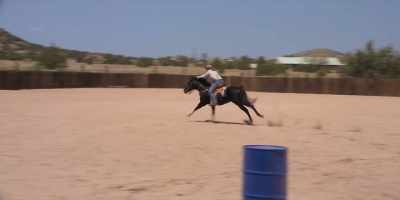 Go! Let's go! Go! - Walk  Ride  Rodeo