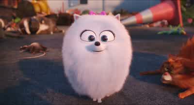 Go, Max! - The Secret Life of Pets
