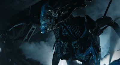 Go! Move! No! Here! Here! Run! - Aliens