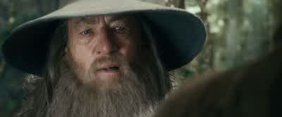 Go now. - The Hobbit: The Desolation of Smaug