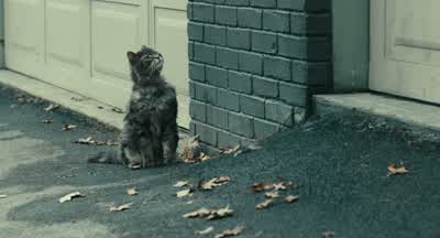Go on. Get outta here. Go. - A Man Called Otto