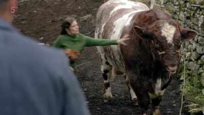 Go on, get. - All Creatures Great & Small