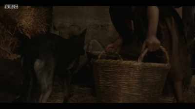 Go on. Go on. - Troy: Fall of a City