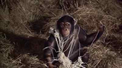 Go on, hang yourself! - Tarzan and the Lost Safari