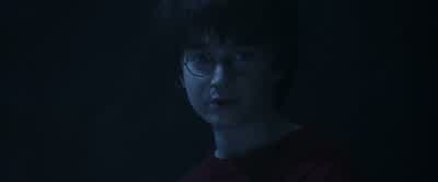 Go on! If Snape could catch iton that old broomstick, you can. - Harry Potter and the Philosopher's Stone