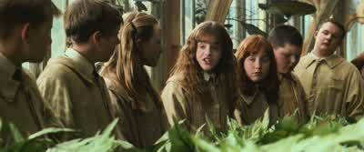 Go on, Ron. - Harry Potter and the Chamber of Secrets