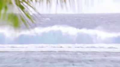 - # Go on and take your, - FBOY Island NZ