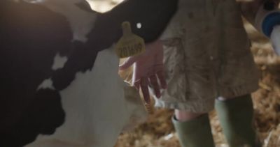 Go on. Up. - Cow
