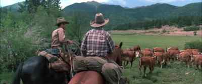 Go on, y'all! - Comes a Horseman