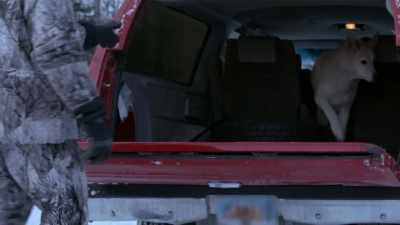 Go on.
You gotta wait. - Life Below Zero: Next Generation