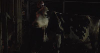 Go on. - Cow