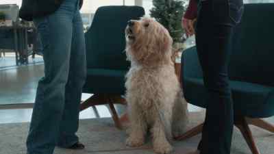 Go out, find
some interesting holiday feels, - Happy Howlidays