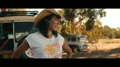 Go over a couple cattle grids, - Scrublands