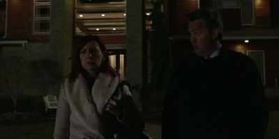 Go through my desk, shake
down my wife for information. - The Good Fight