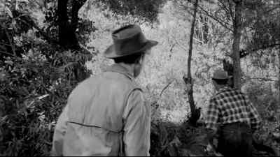 Go to your boat! - The Young One