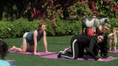 ‐ [goat bleating]
IMELDA: Let the goats absorb - Dollface