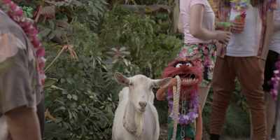 (GOAT BLEATS) - The Muppets Mayhem